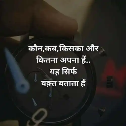 life dp